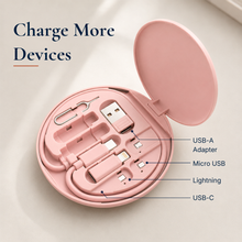 The Tech Carry - Multi-Type Phone Cable Kit